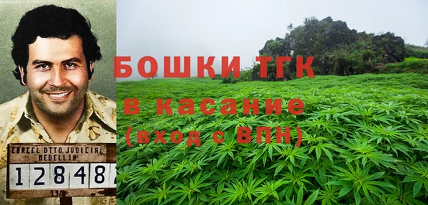 стафф Алексин