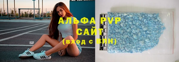 стафф Алексин