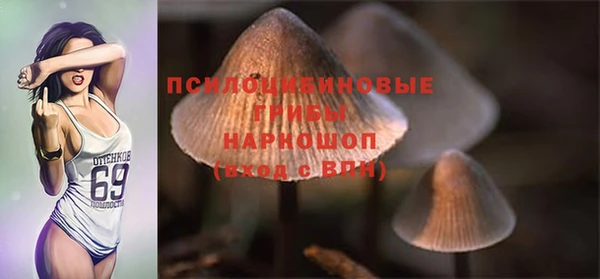 молекула духа Абаза