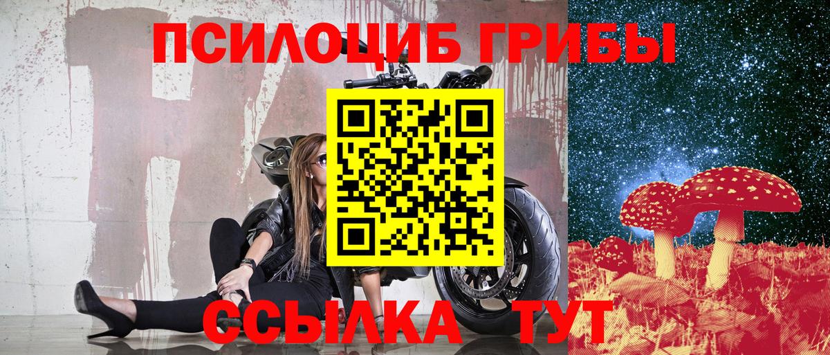Галлюциногенные грибы MAGIC MUSHROOMS Элиста
