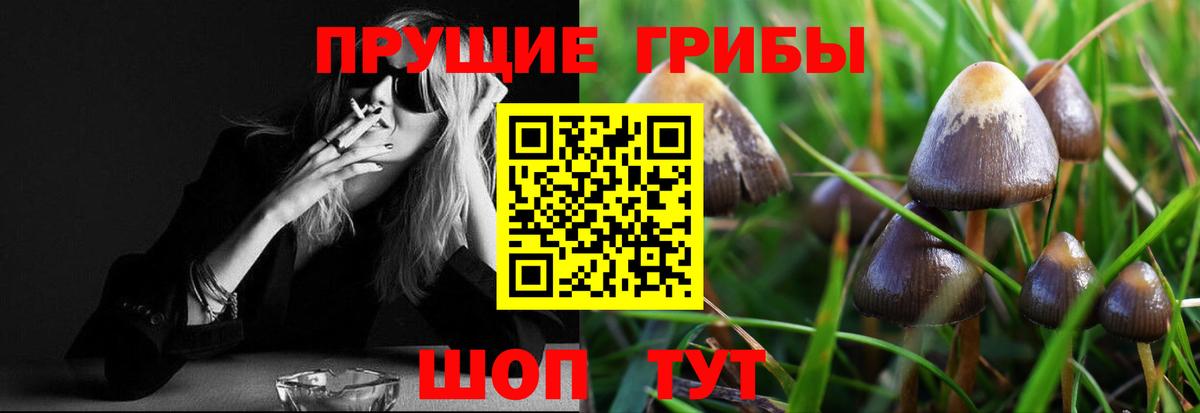 Элиста  Псилоцибиновые грибы мицелий  Вход с VPN 